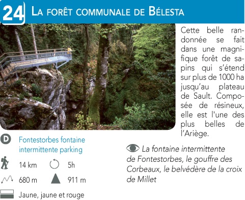 La Forêt communale de Belesta